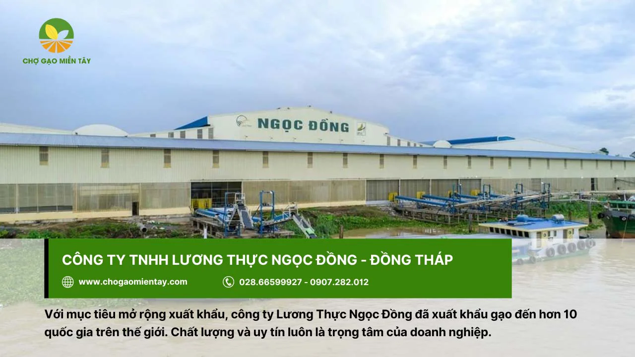 Công ty Ngọc Đồng xuất khẩu gạo đến hơn 10 quốc gia trên thế giới