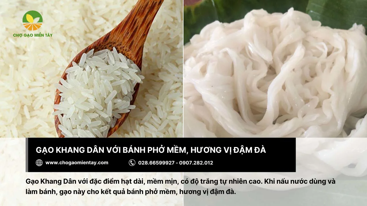 Gạo Khang Dân dùng làm bánh phở với hương vị đậm đà
