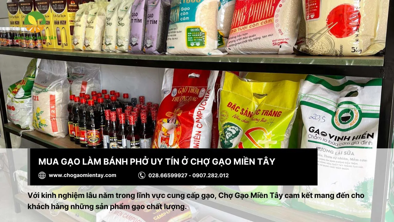 Chợ Gạo Miền Tây cung cấp gạo làm bánh phở chất lượng
