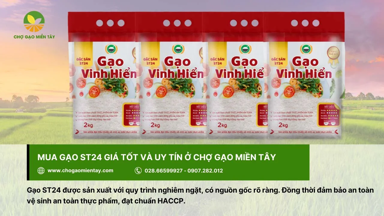 Chợ Gạo Miền Tây cung cấp gạo ST24 thơm ngon