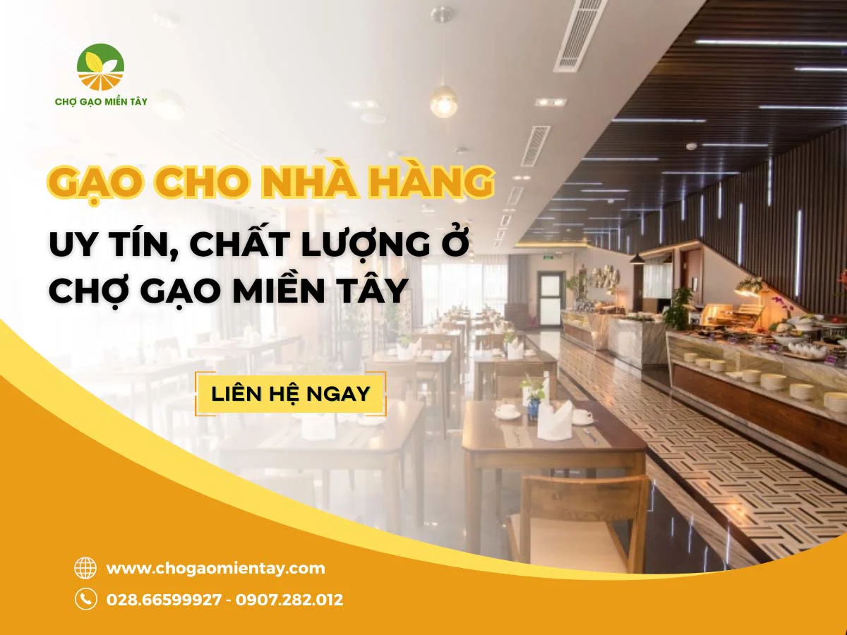 Cung cấp gạo cho nhà hàng uy tín, chất lượng ở Chợ Gạo Miền Tây