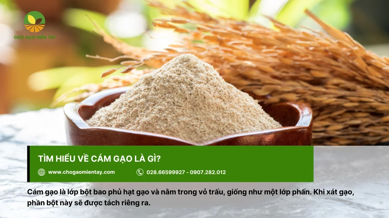 Cám gạo sở hữu mùi thơm đặc trưng của gạo