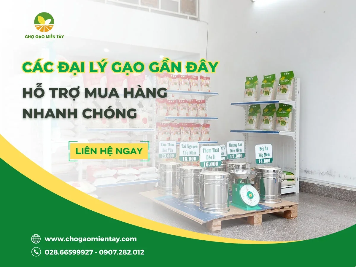 Các đại lý gạo gần đây, hỗ trợ mua hàng nhanh chóng
