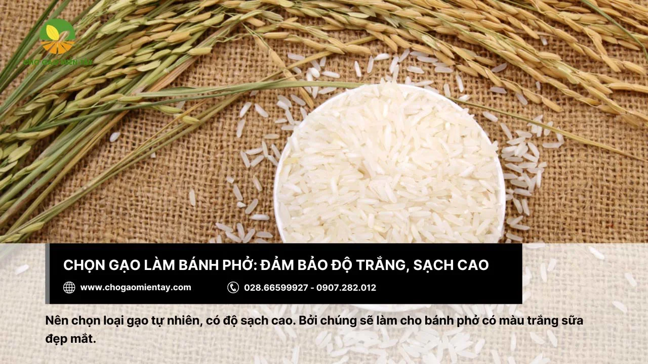 Nên chọn gạo có độ trắng và sạch cao để làm bánh phở
