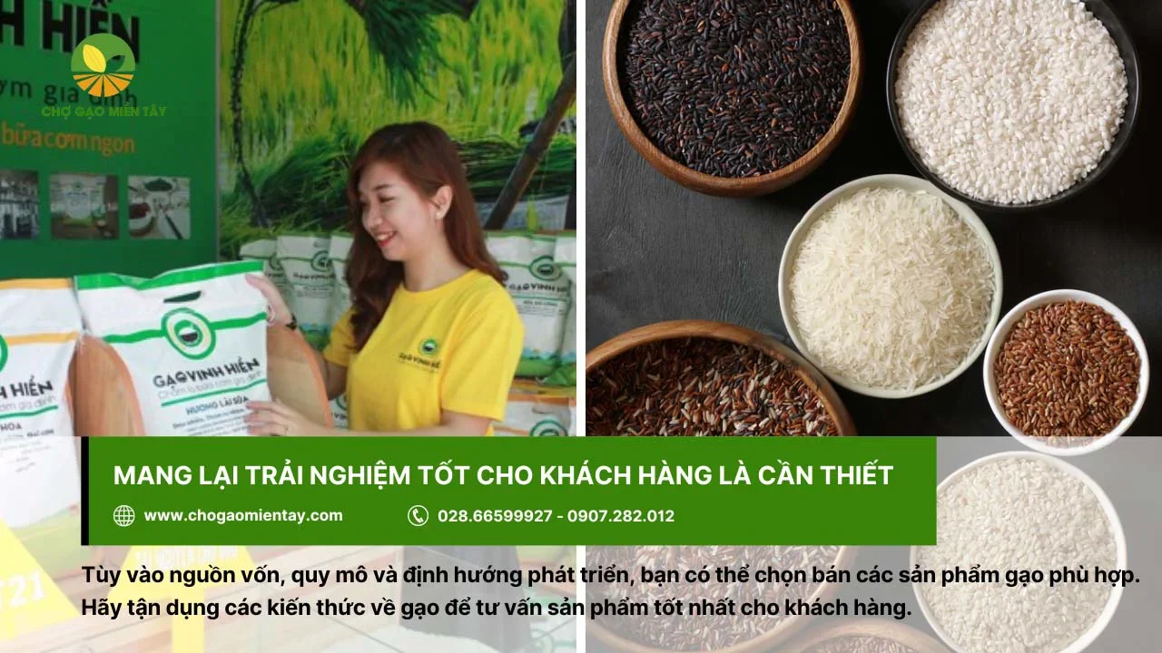 Trau dồi kiến thức về gạo để mang lại sự trải nghiệm hài lòng từ khách hàng