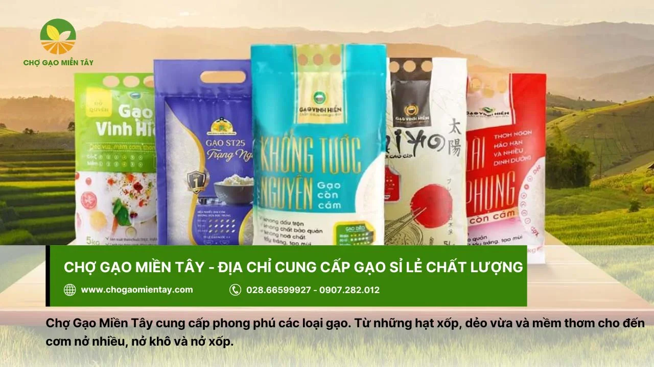 Địa chỉ cung cấp gạo sỉ lẻ tươi ngon tại Chợ Gạo Miền Tây