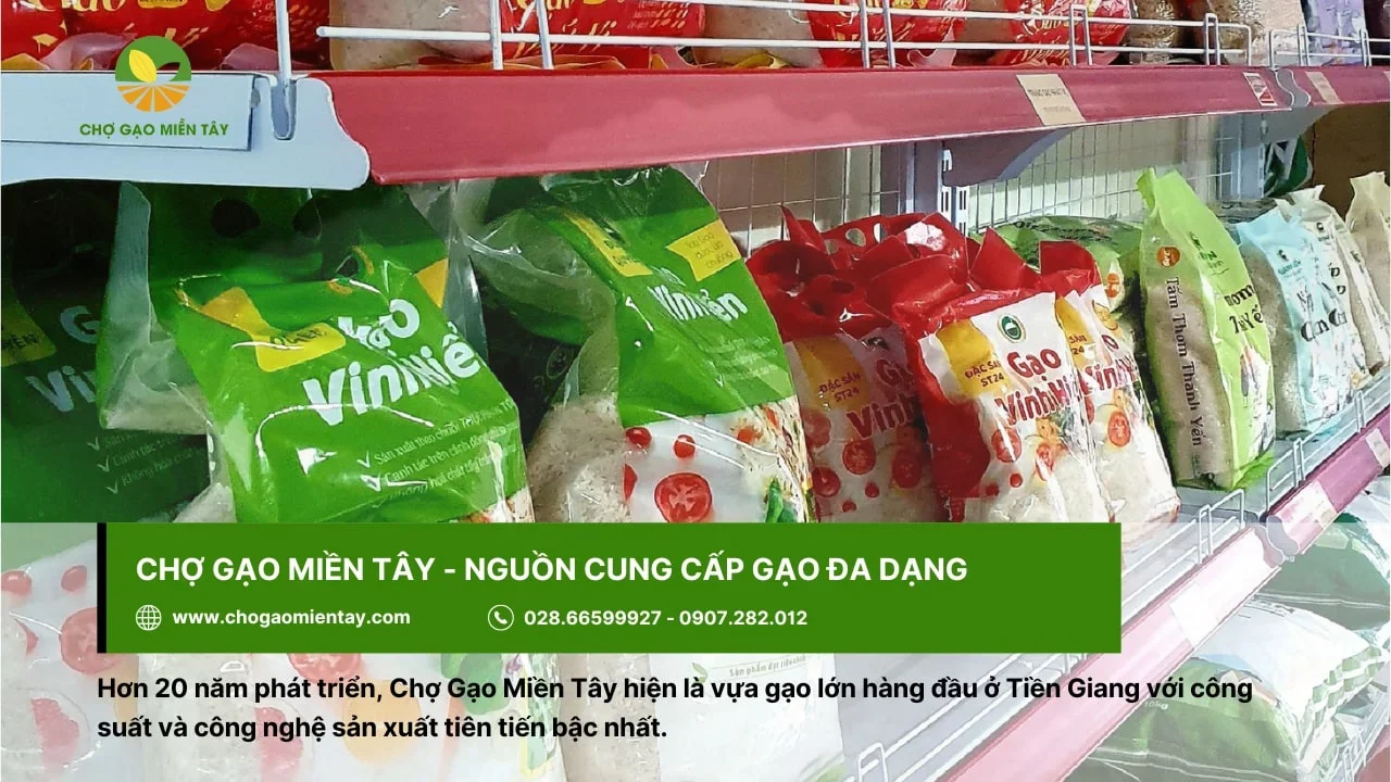 Chợ Gạo Miền Tây – Nguồn bán Gạo sạch uy tín cho cửa hàng bán gạo sạch