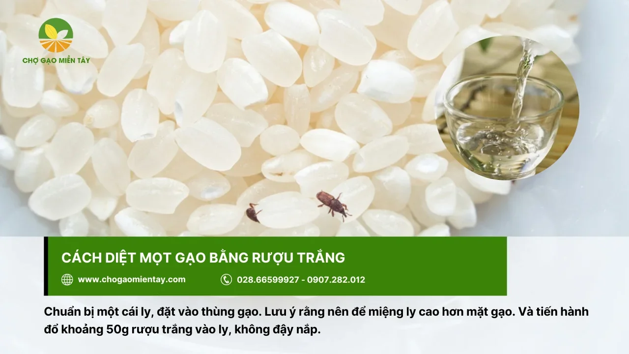 Cách trị mọt gạo bằng rượu trắng