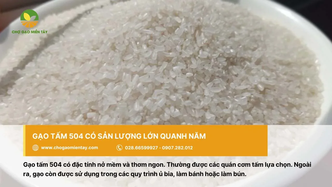 Gạo tấm 504 được đa số các quán cơm tấm lựa chọn