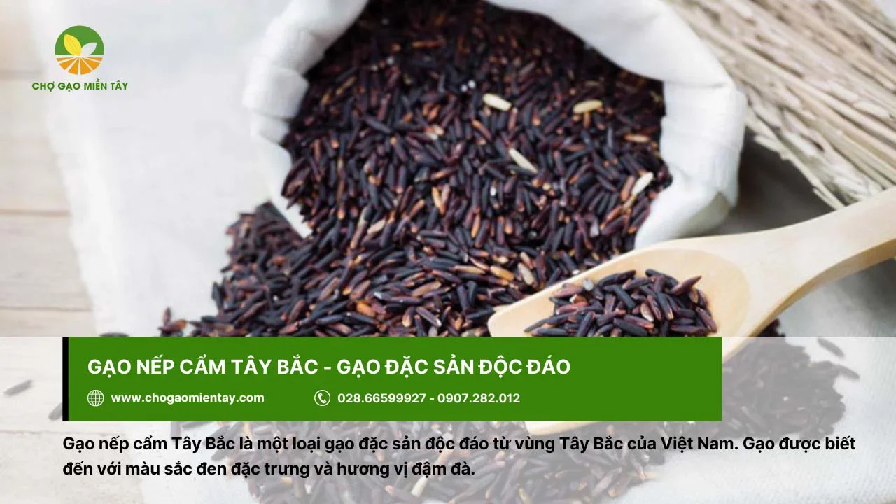 Gạo nếp cẩm có hương vị đậm đà, đặc sản vùng Tây Bắc