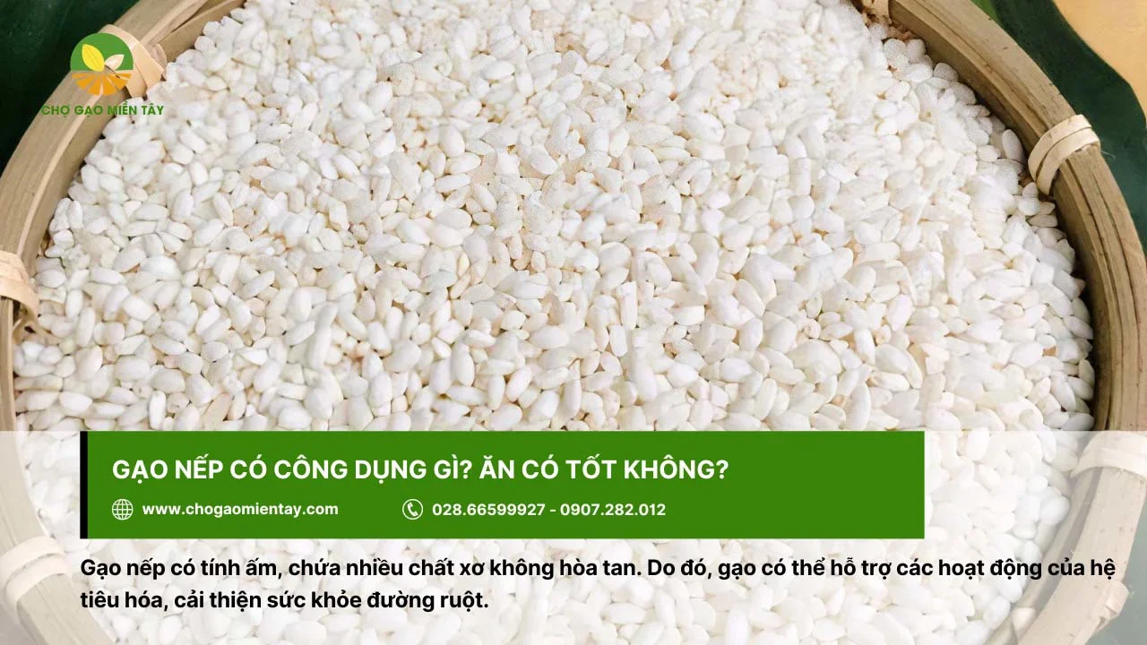 Gạo nếp có nhiều công dụng tốt cho sức khỏe