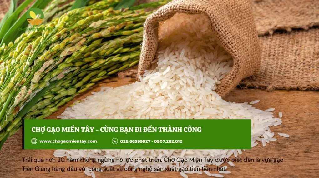 Chợ gạo miền tây chia sẻ bạn thông tin tư vấn mở đại lý miễn phí