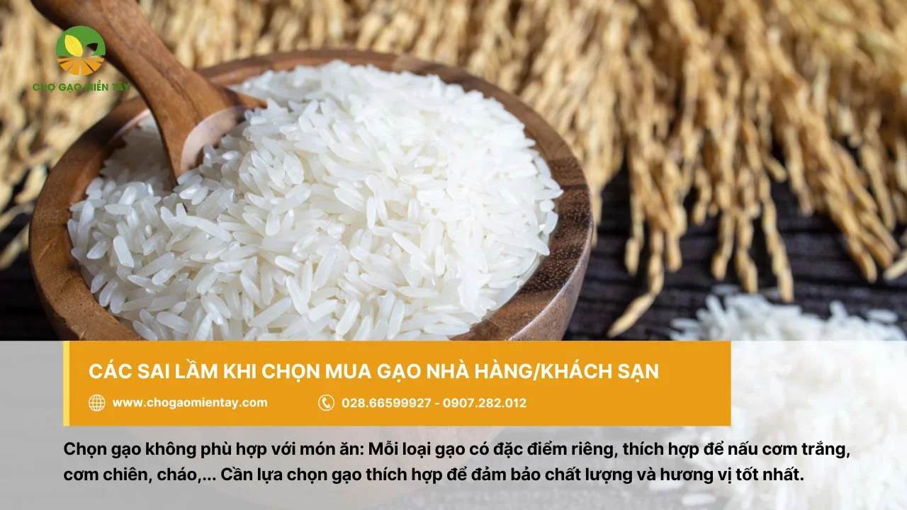 Lưu ý không chọn gạo không phù hợp với món ăn