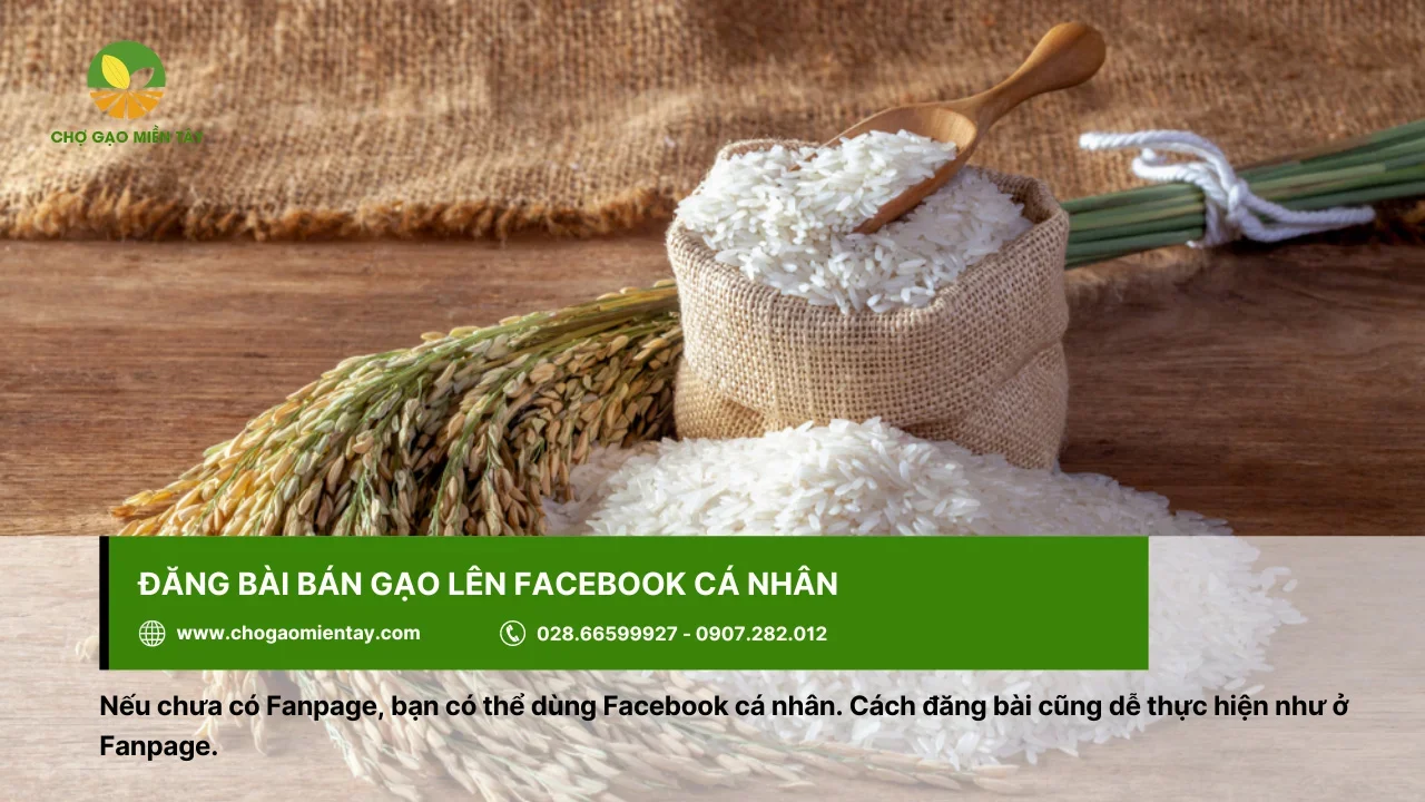 Nên chia sẻ bài đăng bán gạo lên story để thu hút nhiều lượt xem hơn
