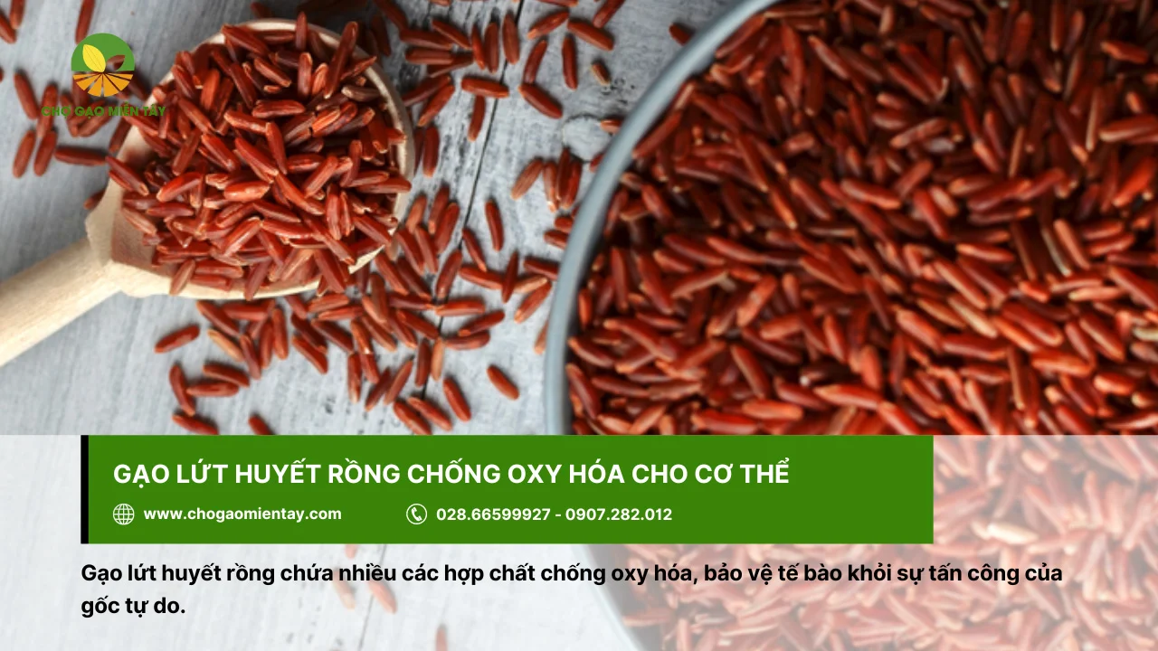 Gạo lứt huyết rồng giúp chống oxy hóa, giữ nhan sắc tươi trẻ