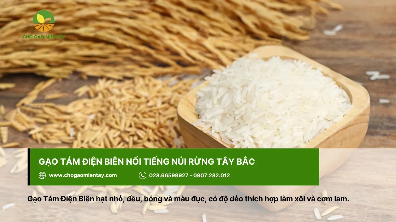 Gạo tám Điện Biên có vị thanh mát