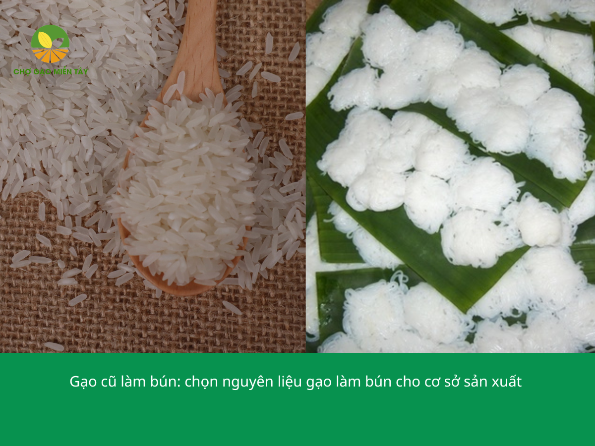 Gạo Cũ L&agrave;m B&uacute;n